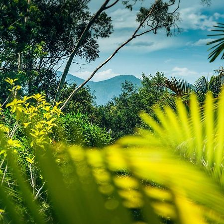 Bed and Breakfast Bella Vista Bellingen Esterno foto