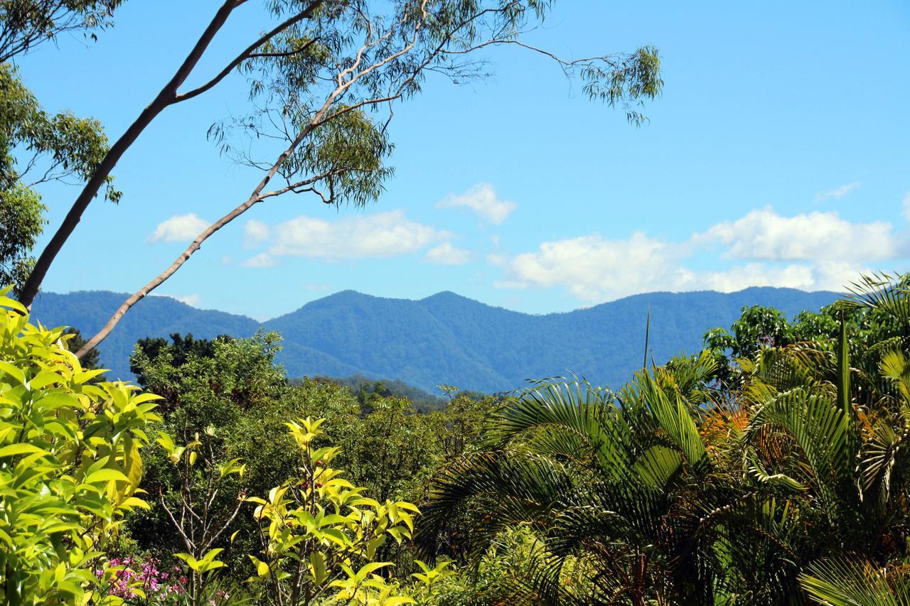 Bed and Breakfast Bella Vista Bellingen Esterno foto