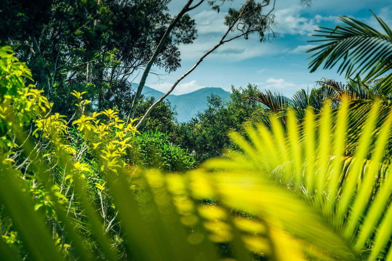 Bed and Breakfast Bella Vista Bellingen Esterno foto