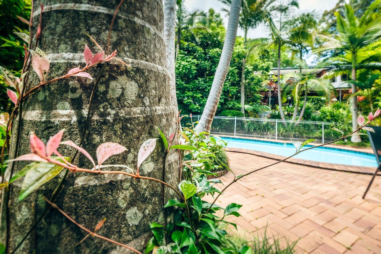 Bed and Breakfast Bella Vista Bellingen Esterno foto