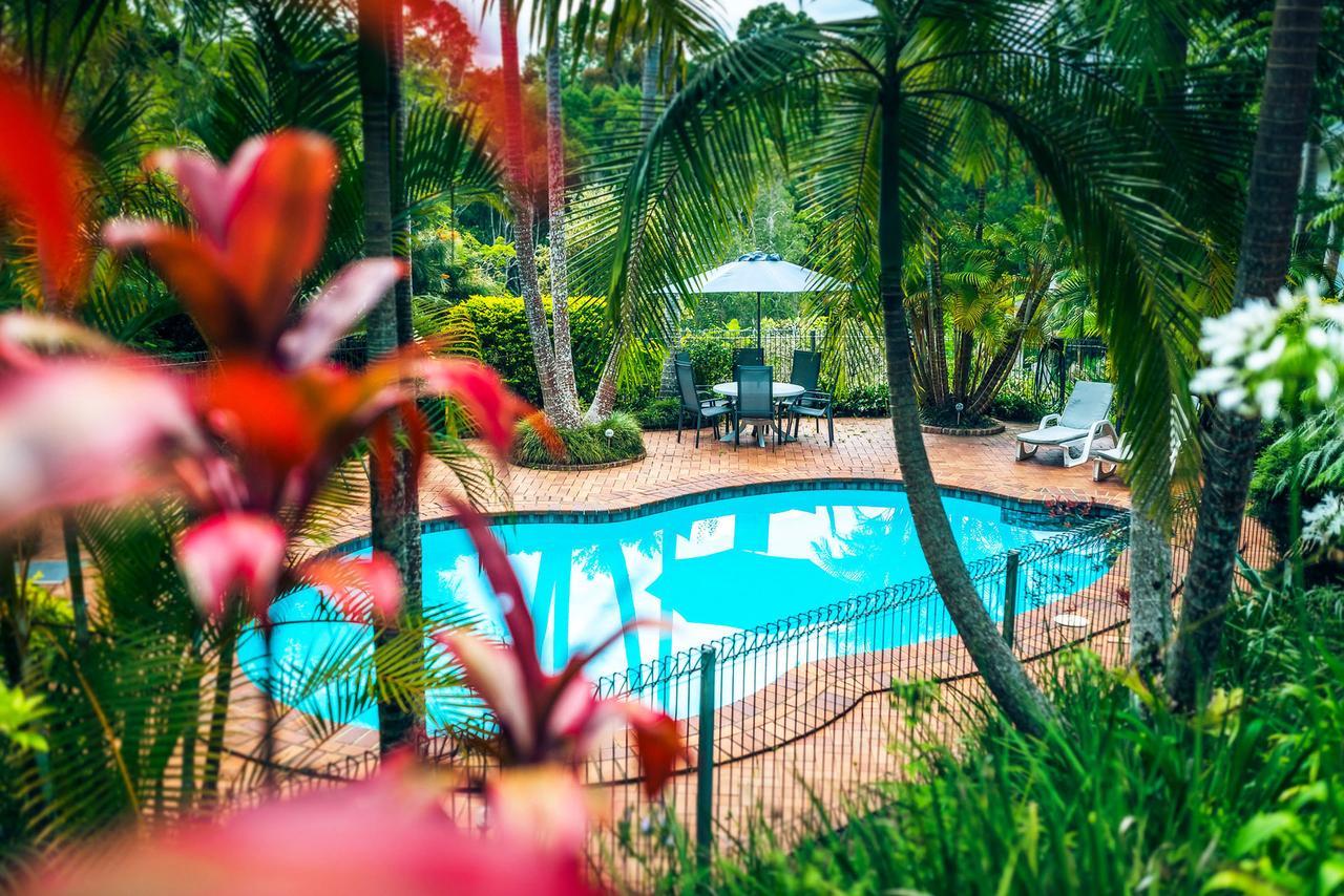 Bed and Breakfast Bella Vista Bellingen Esterno foto