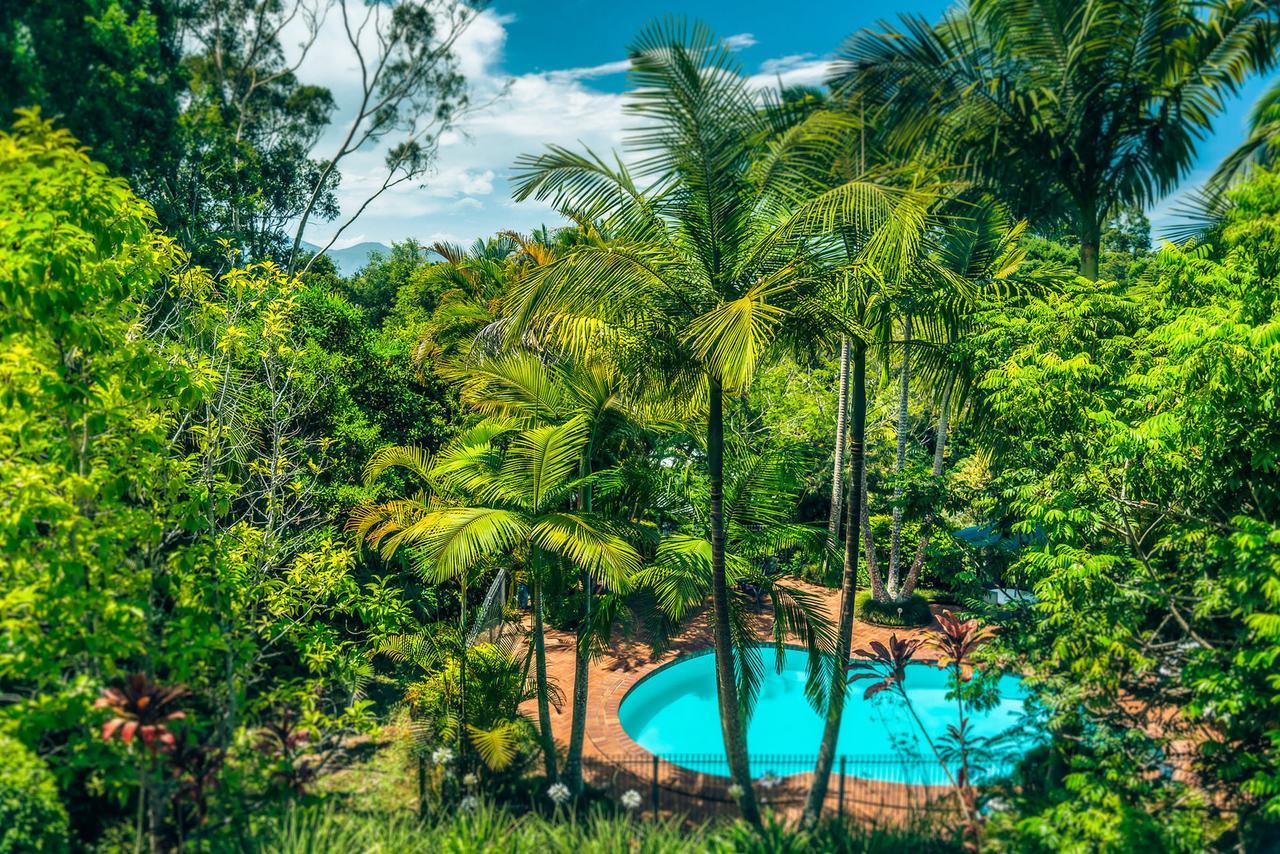 Bed and Breakfast Bella Vista Bellingen Esterno foto