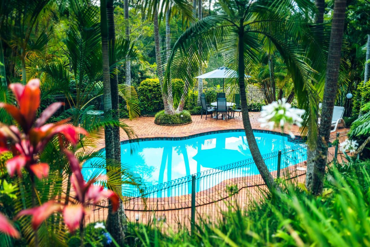 Bed and Breakfast Bella Vista Bellingen Esterno foto
